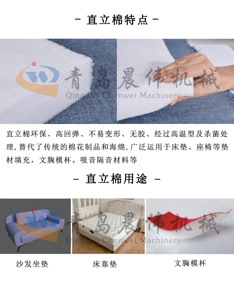 直立棉特點(diǎn)和用途 直立棉特點(diǎn)和用途